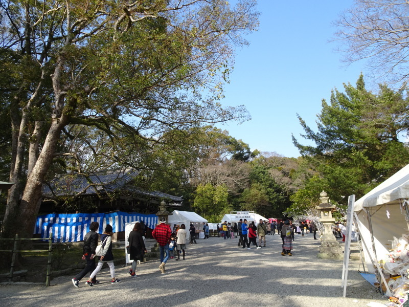 日前宮初詣　＆　イオン和歌山ふじと台_c0108460_18091641.jpg