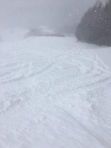 大雪！　苗場スキー場⭐️_c0151965_00341299.jpg