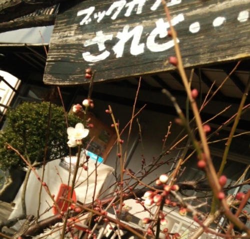 a0111166_15053700.jpg