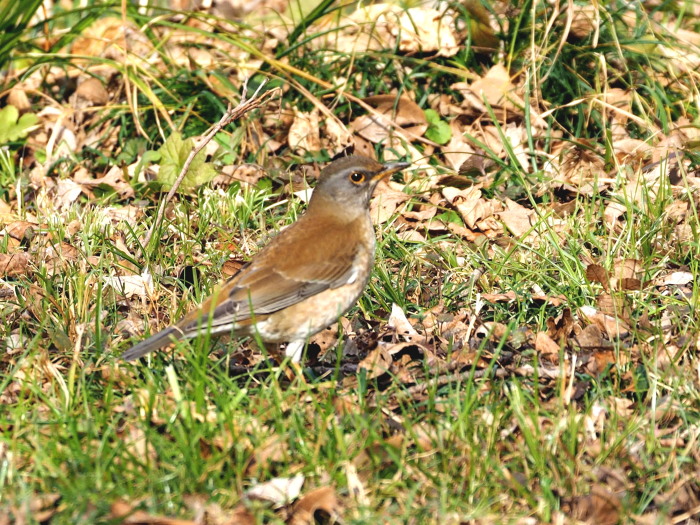 f0208666_1223112.jpg