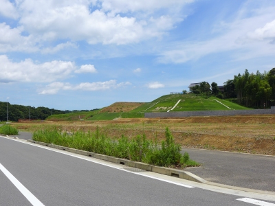 古屋城跡公園&6号街区定点観測_b0025371_1272957.jpg