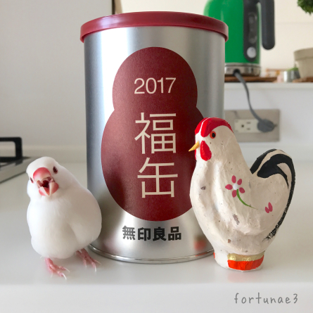 2017福缶とはる_f0336579_22450600.jpg