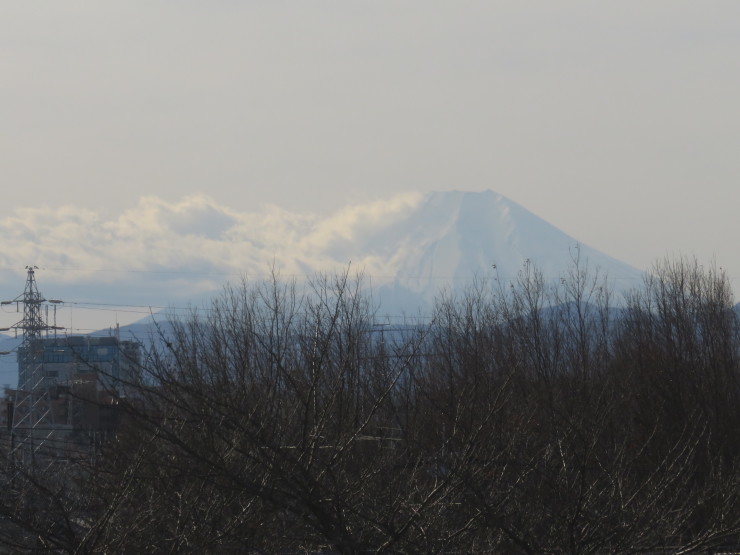 c0324393_21521899.jpg