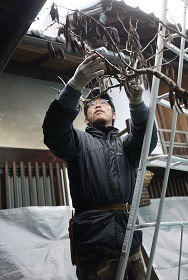 f0226293_2095724.jpg