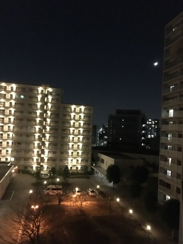トーキョー物語 2017_d0087595_21225223.jpg