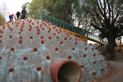 d0048296_5305776.jpg