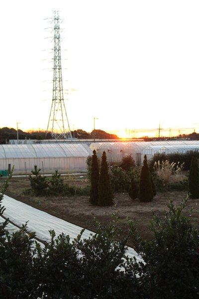 f0054197_1047590.jpg