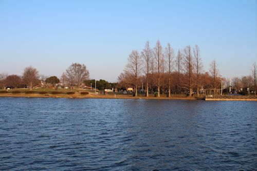 c0090198_1958481.jpg