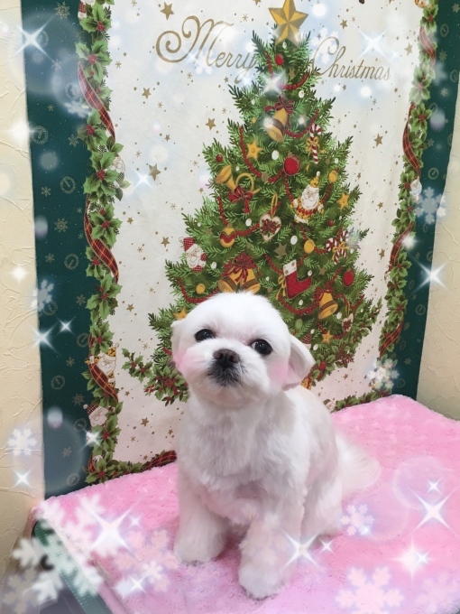 d0269898_13161615.jpeg