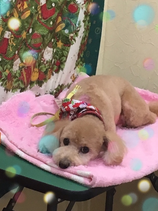 d0269898_13170460.jpeg
