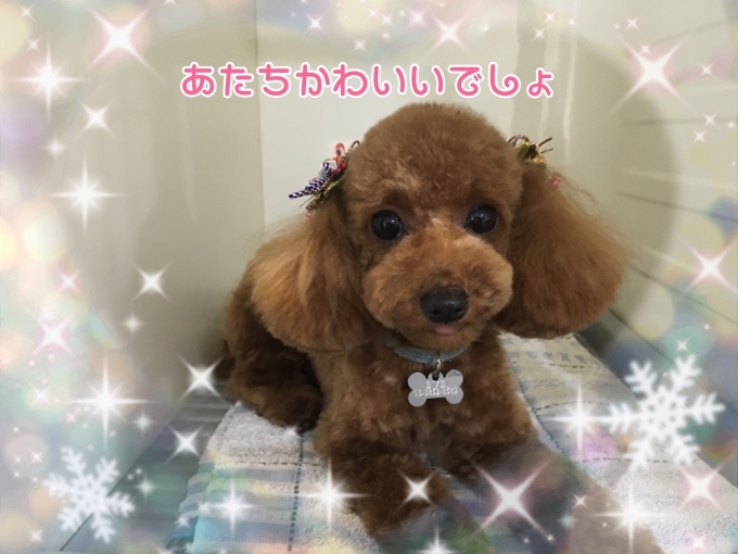 d0269898_13174886.jpeg