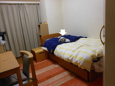 f0372998_22133918.jpg