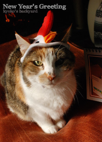 Sandyからの新年のご挨拶 (動物・ペット部門)_b0253205_05471518.jpg