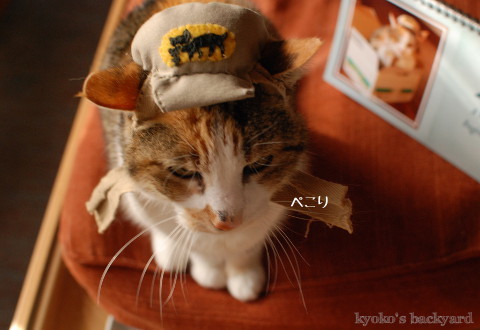 Sandyからの新年のご挨拶 (動物・ペット部門)_b0253205_05521098.jpg