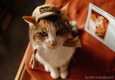 Sandyからの新年のご挨拶 (動物・ペット部門)_b0253205_05530456.jpg