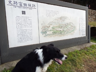 b0275308_11130854.jpg