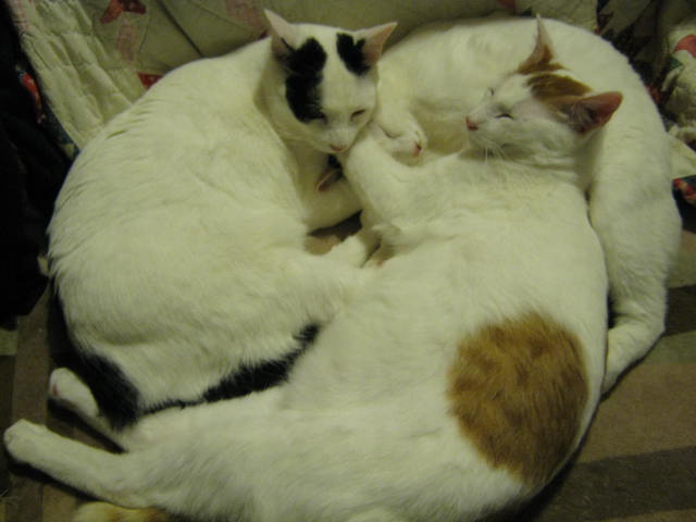 f0173908_106348.jpg