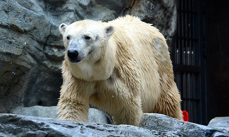 a0151913_18253446.jpg