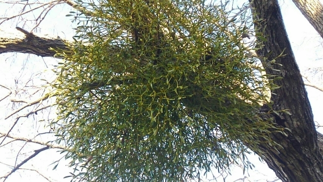 b0196913_23393735.jpg