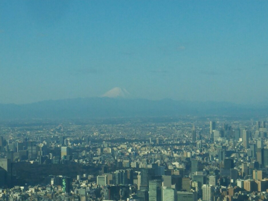 東京観光_a0044916_1442162.jpg