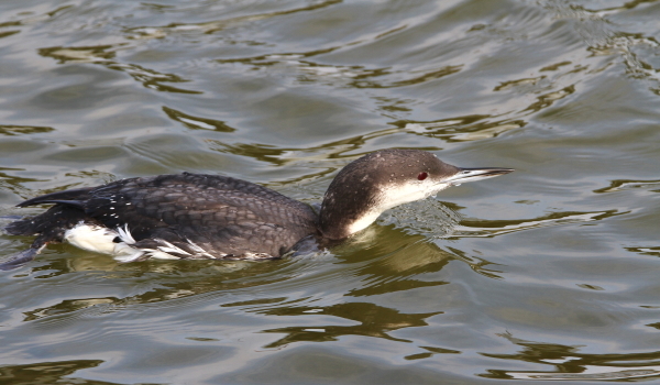 f0364220_07462505.jpg