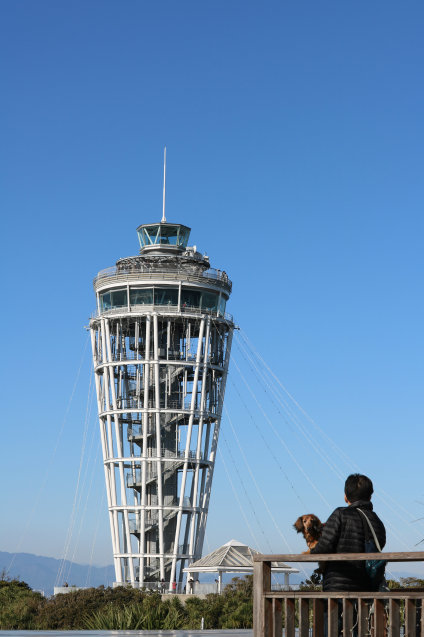a0037322_16493580.jpg