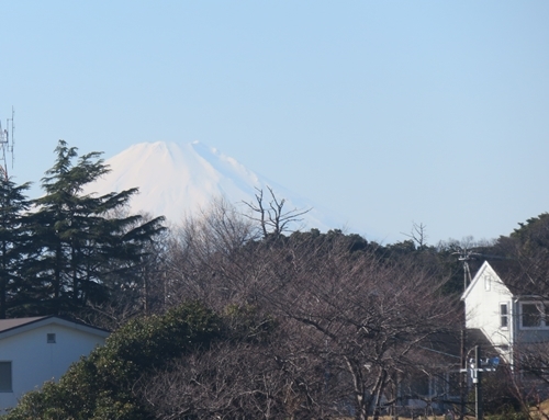 c0013922_13434173.jpg