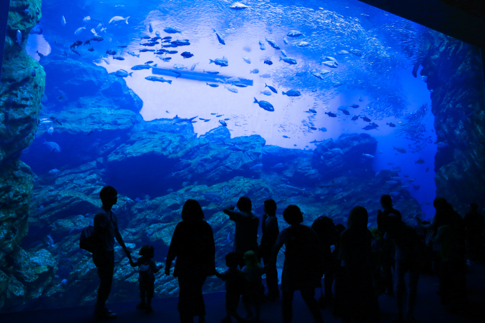 仙台うみの杜水族館_c0181127_17113988.jpg