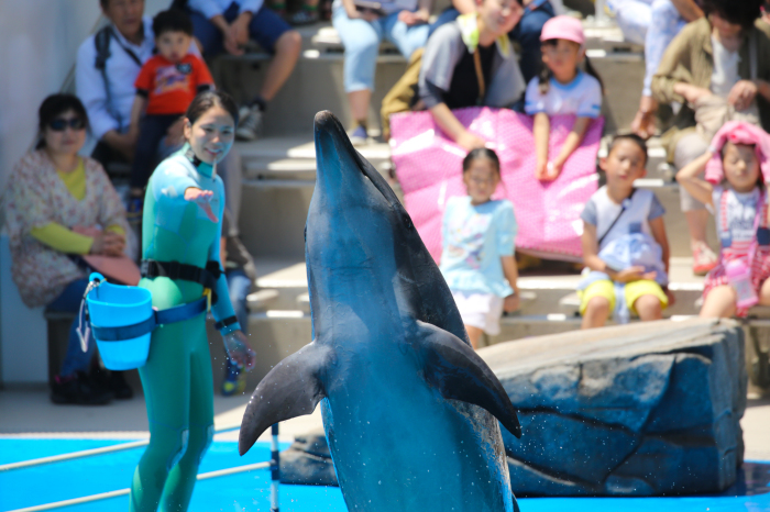 仙台うみの杜水族館_c0181127_17115516.jpg