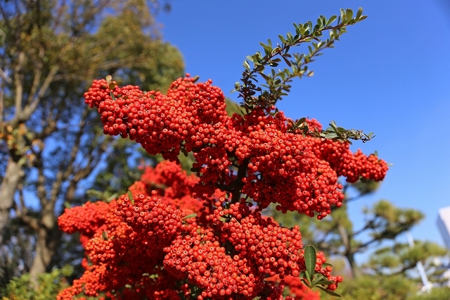 a0242438_19482996.jpg