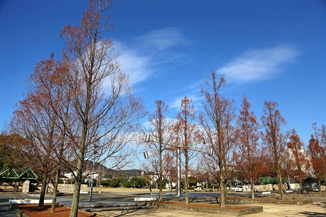 a0242438_19483001.jpg