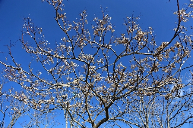 a0242438_19503686.jpg