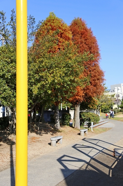 a0242438_19504802.jpg