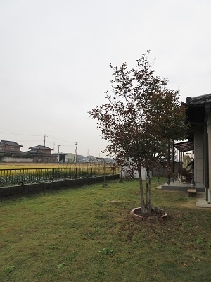 c0234938_00014053.jpg