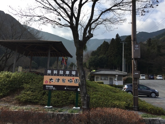 3日は谷汲山華厳寺へ_b0323340_22133810.jpg