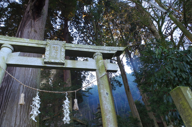 c0281841_1552339.jpg