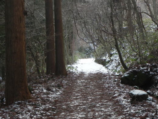 新年の函館山_e0145841_14440253.jpg