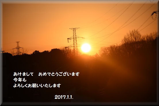 f0363141_17503827.jpg