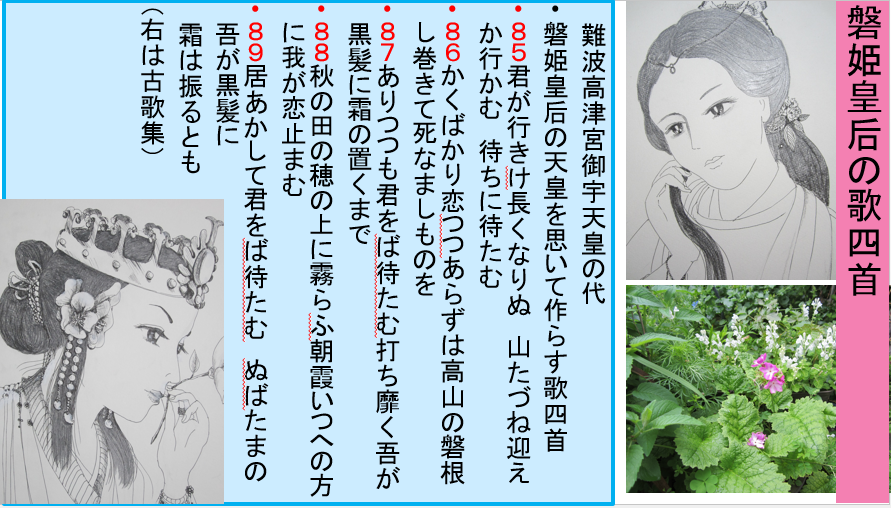 a0237545_21414372.png