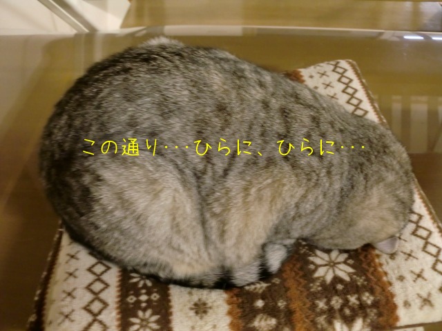 c0259945_17193048.jpg