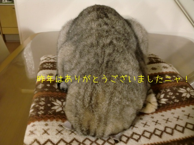 c0259945_175221.jpg