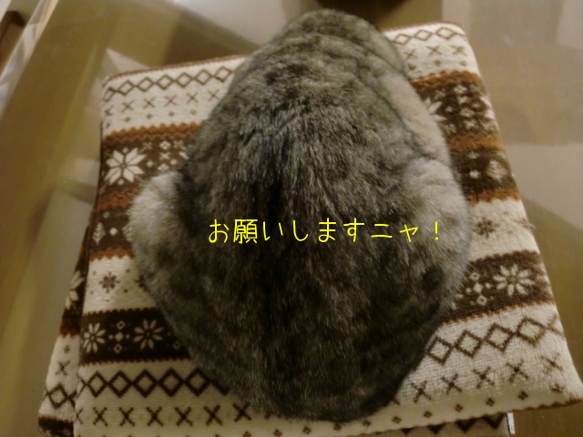 c0259945_1755434.jpg