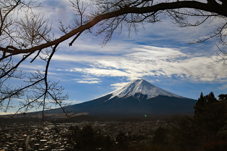 a0120949_77657.jpg