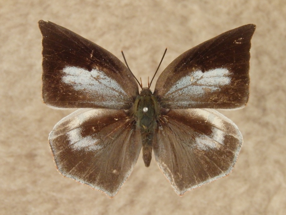 a0235150_8453093.jpg