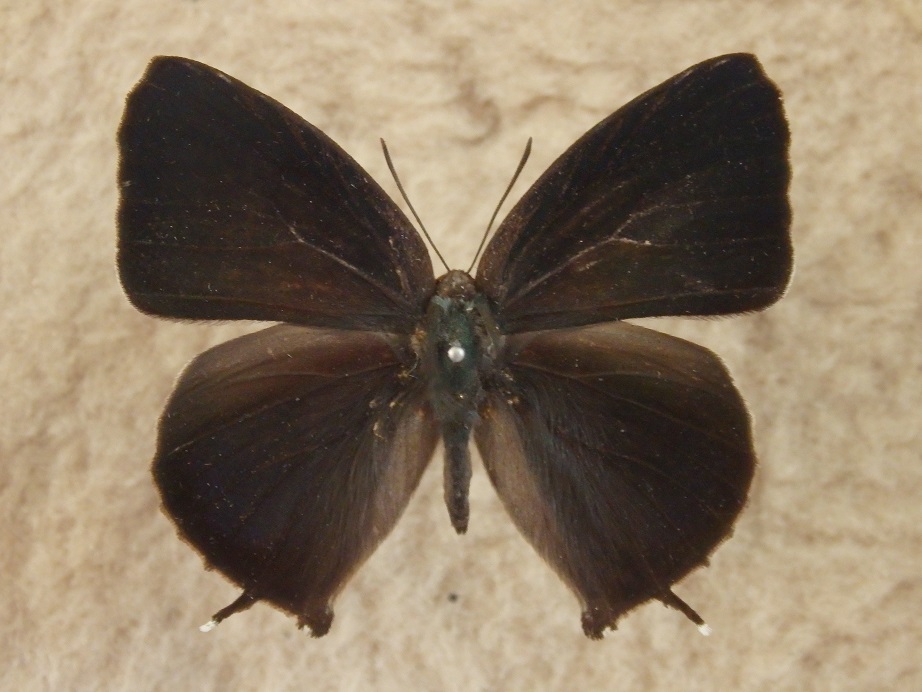 a0235150_8474761.jpg