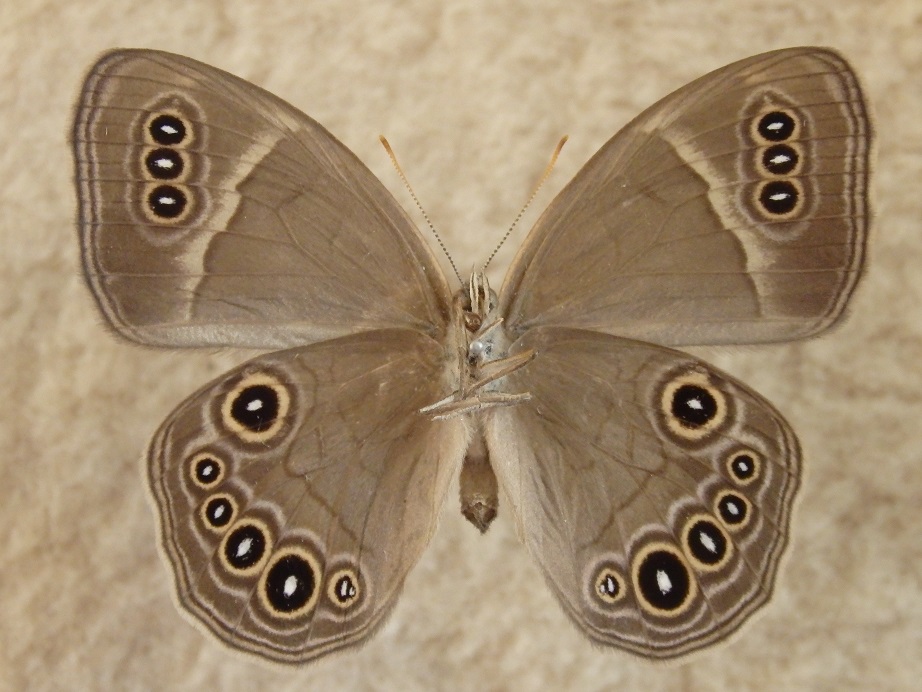 a0235150_8482284.jpg