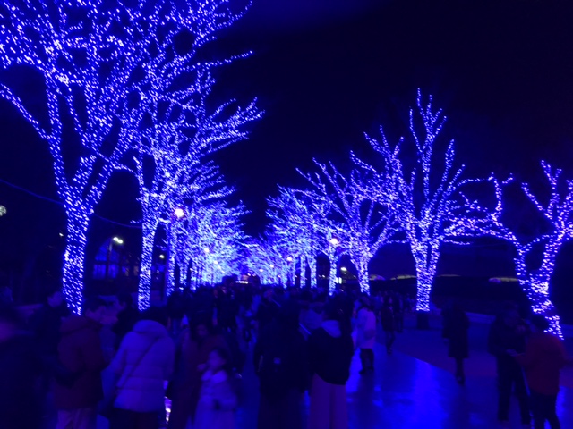 c0260050_1329269.jpg