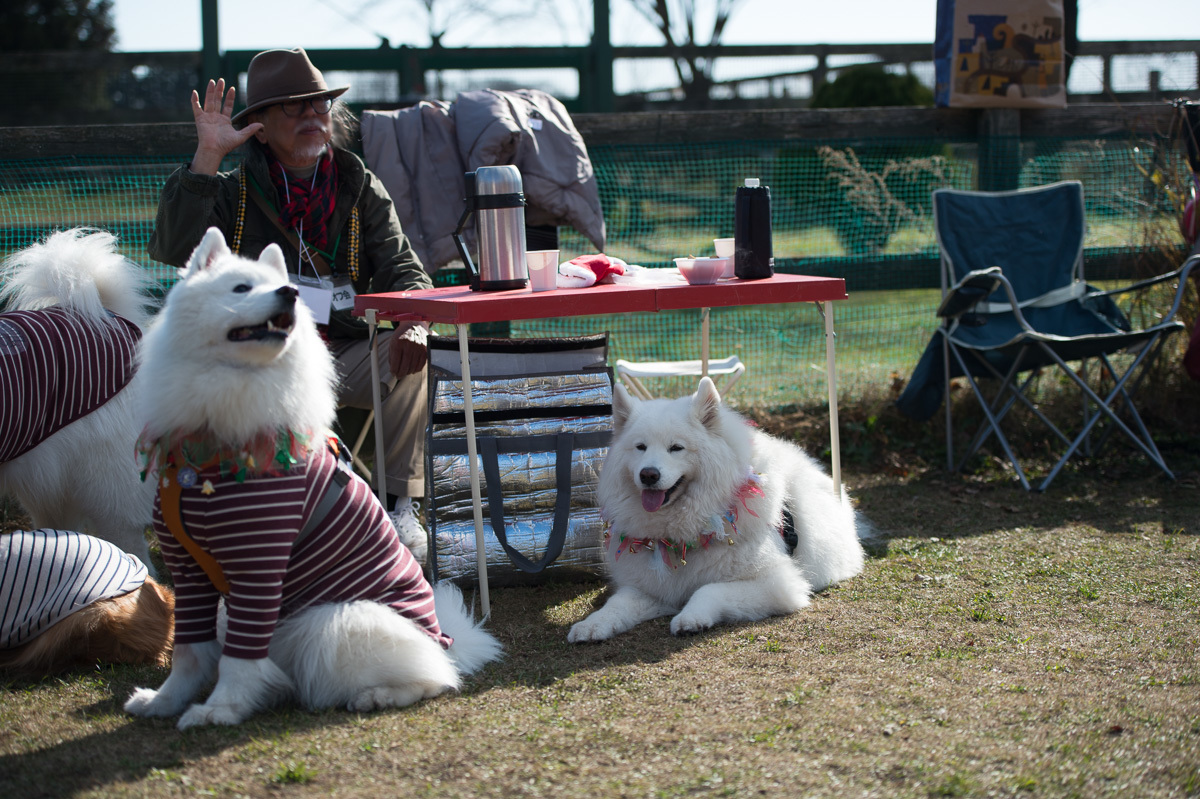 富士サモ2016-3_d0144253_00571995.jpg