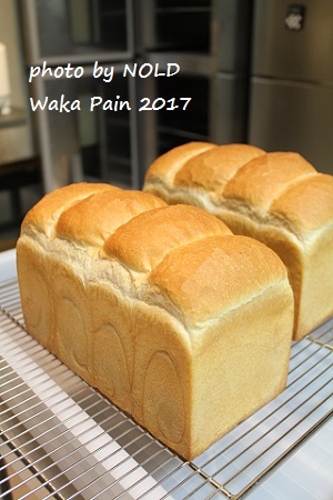 今年もWaka Painをよろしくお願いします_d0186854_14461442.jpg