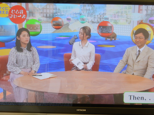’17,1,4(水)風邪の時のお友達!_f0060461_1057694.jpg